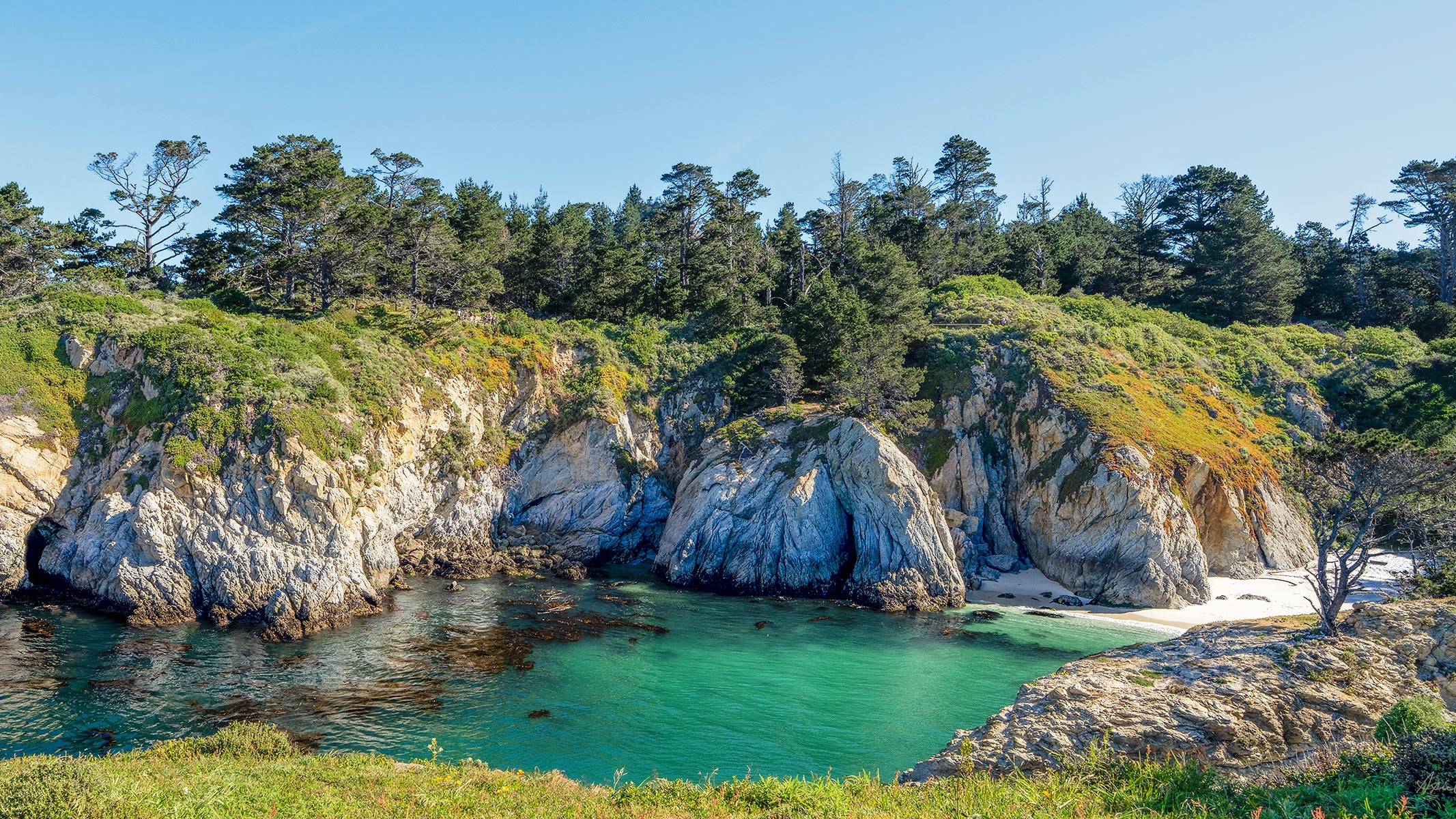 Cypress Grove