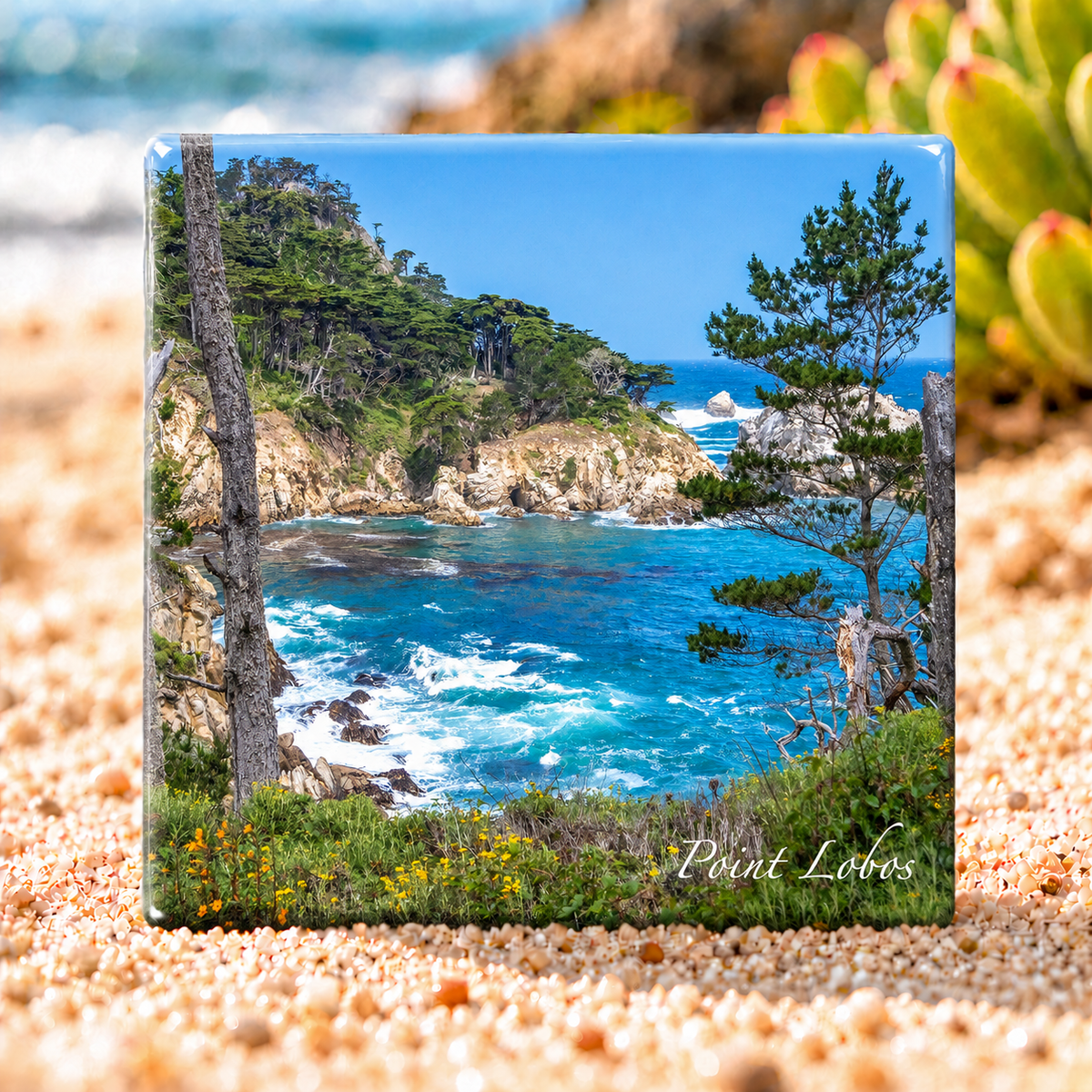 Hidden Cove - Ceramic Tile