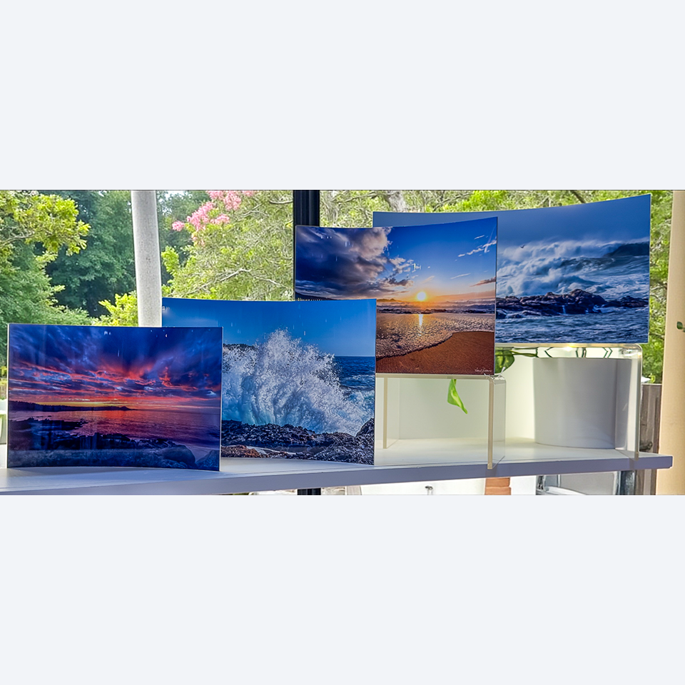 Winter Wonderland - Curved Metal