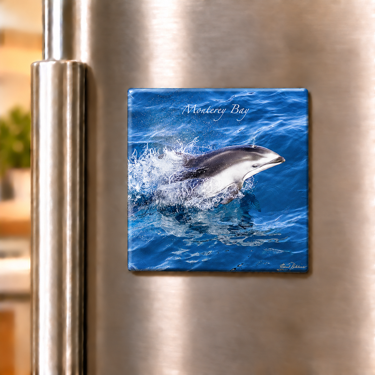 White Sided Dolphin - Ceramic Tile