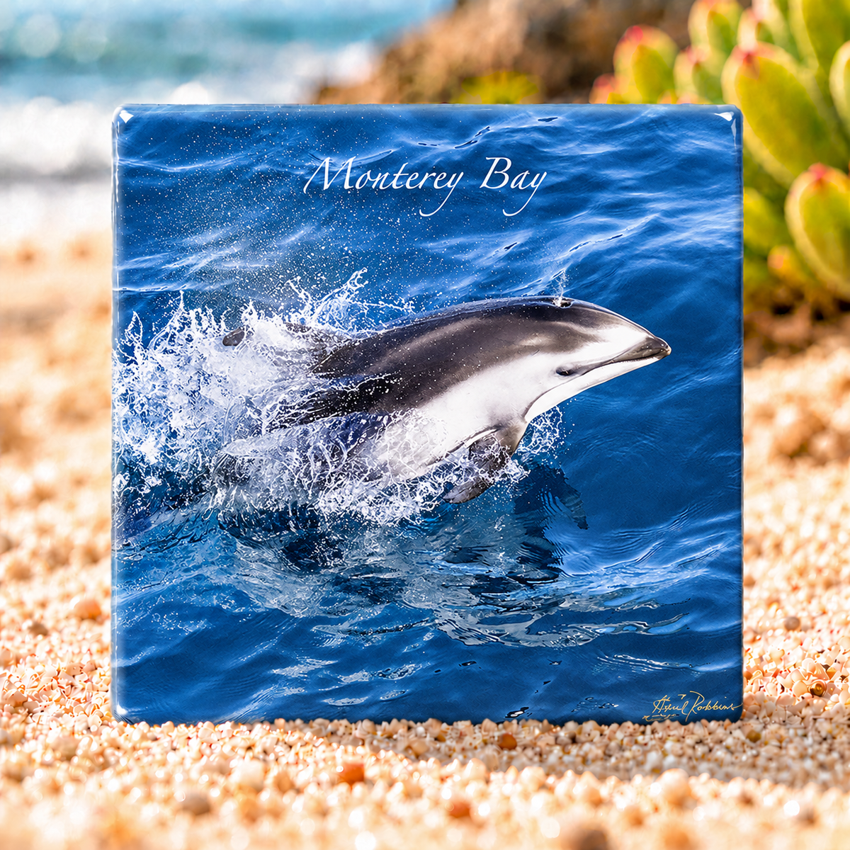 White Sided Dolphin - Ceramic Tile