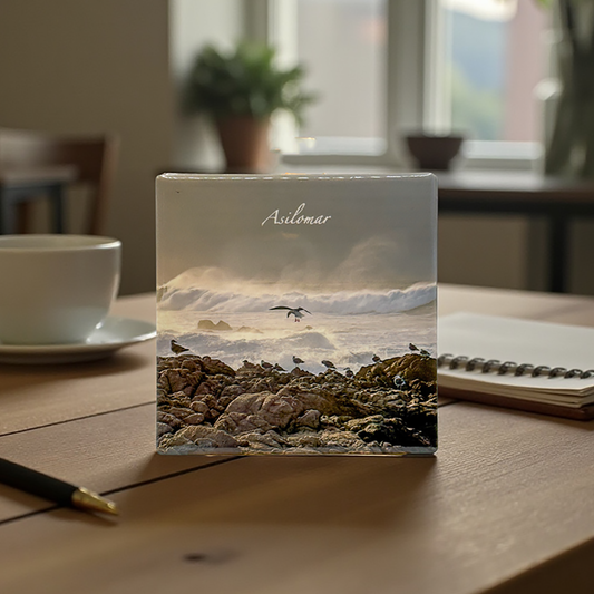 Feet- Ceramic Coaster