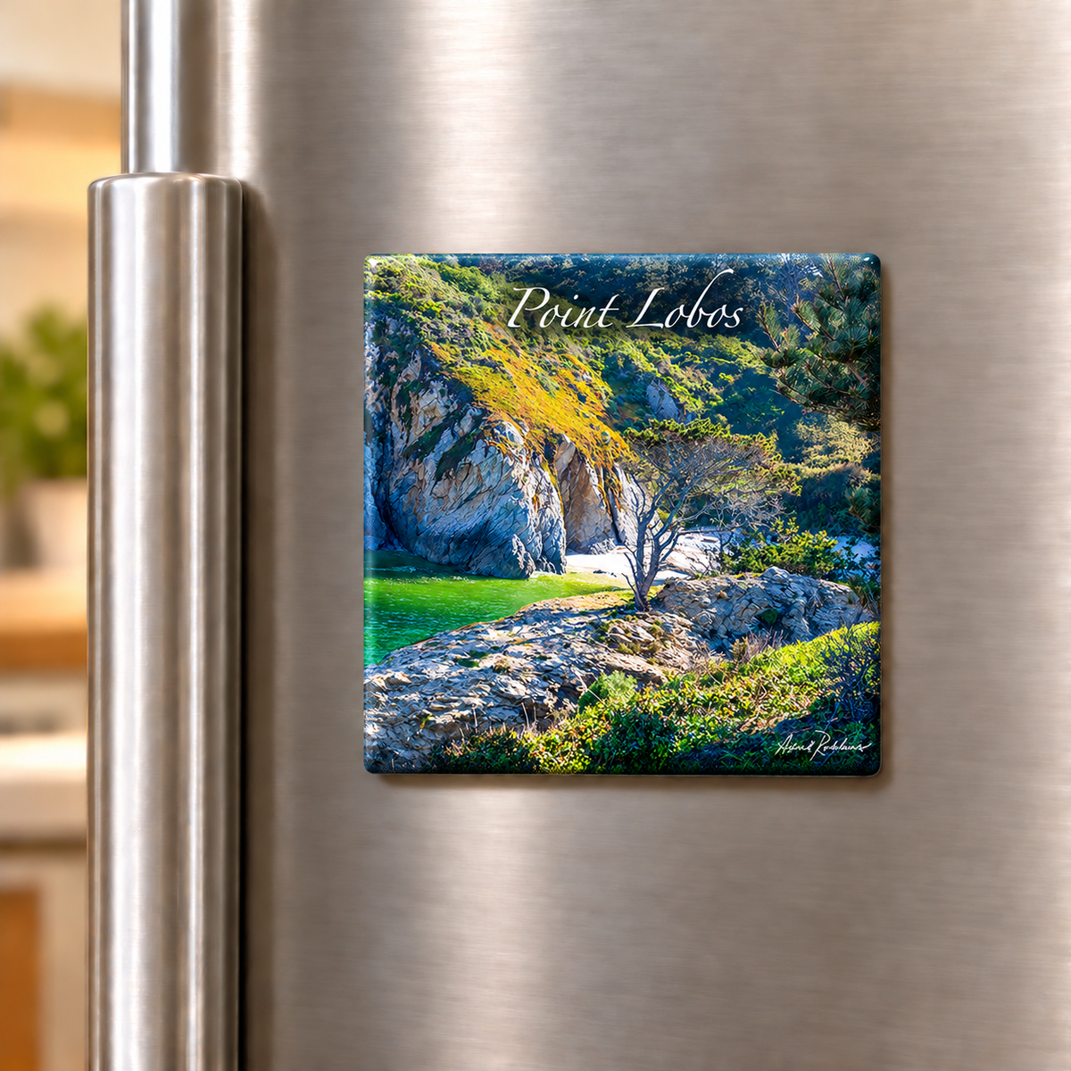 China Cove - Ceramic Tile