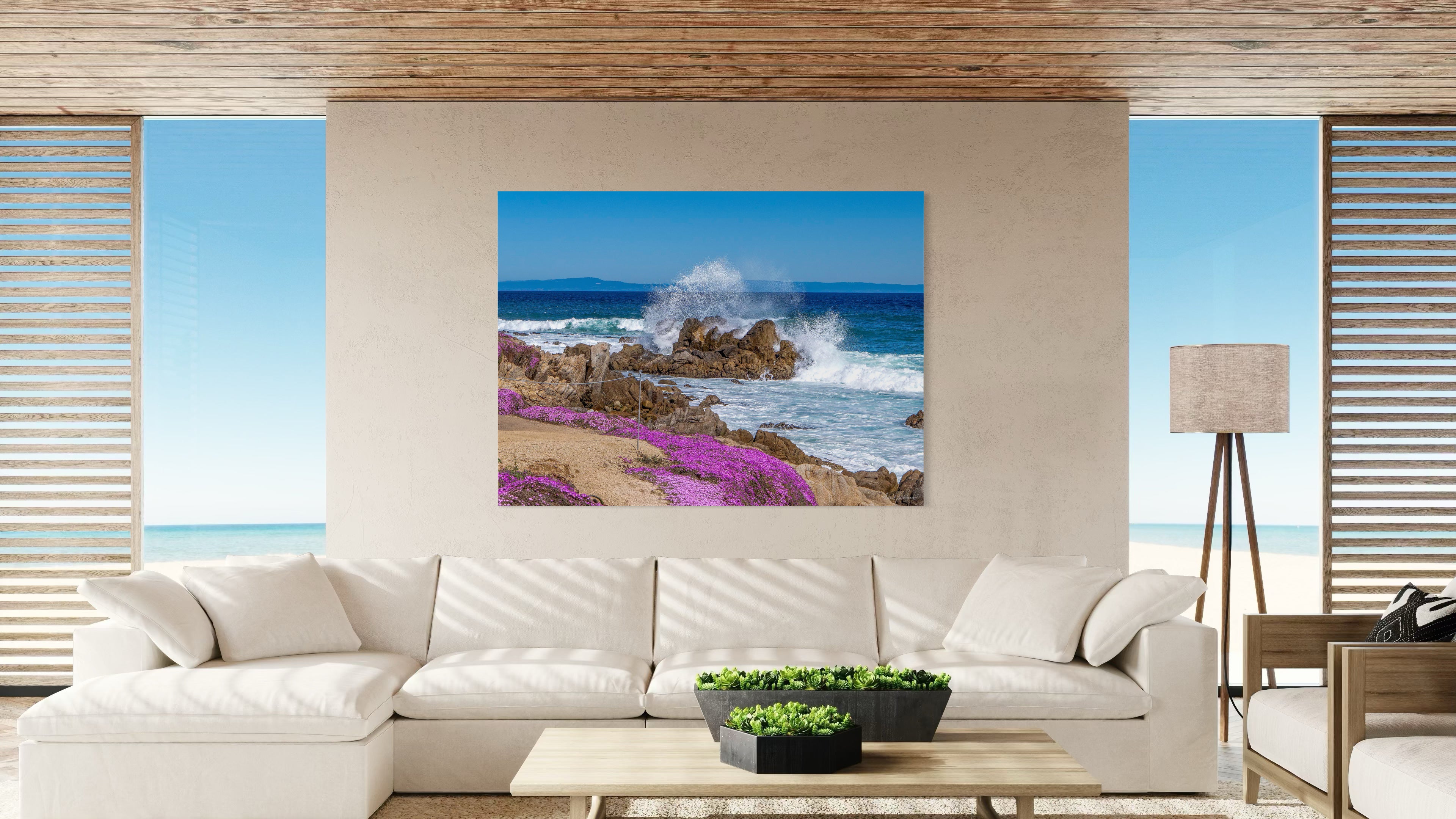 Blush of the Coast