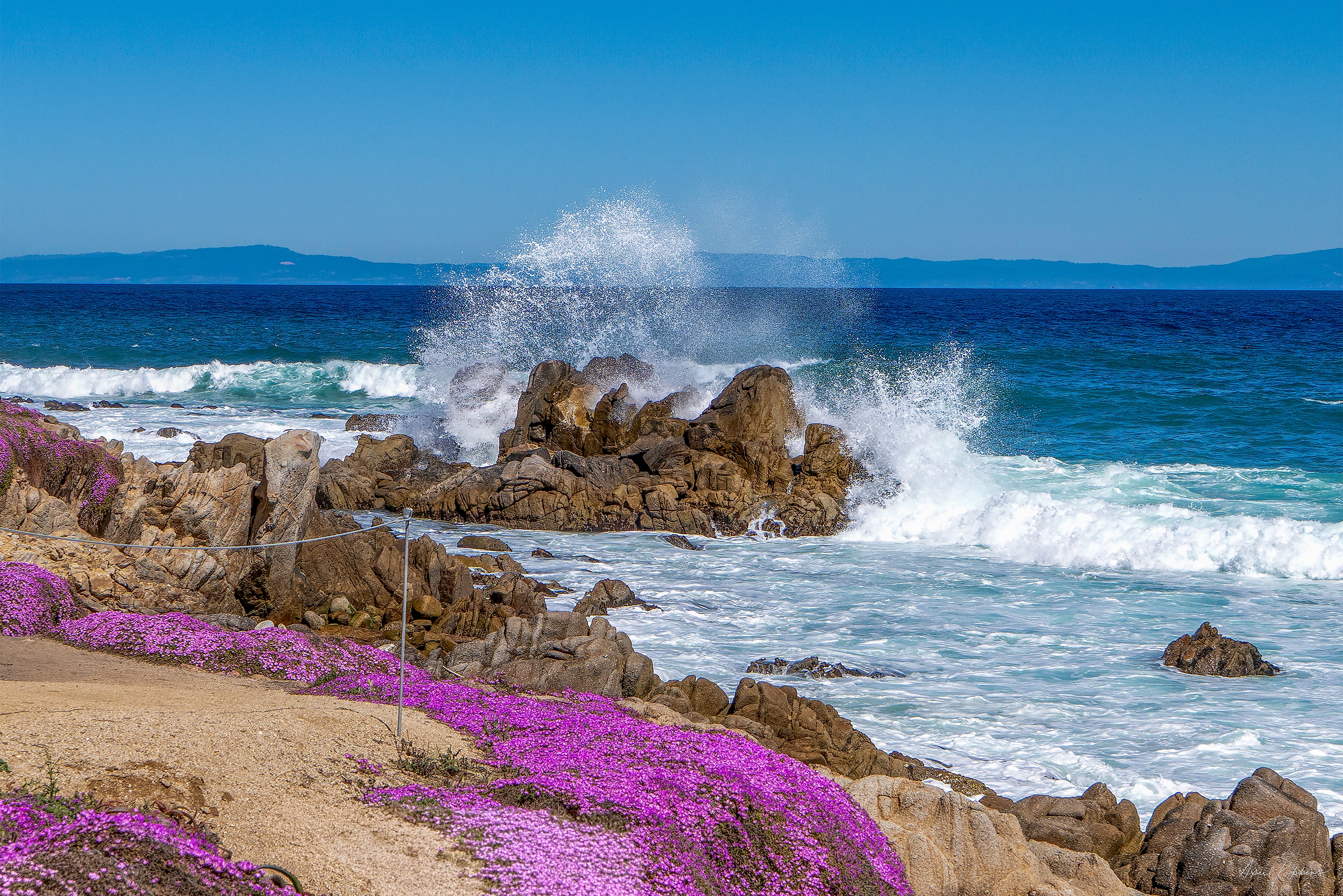 Blush of the Coast
