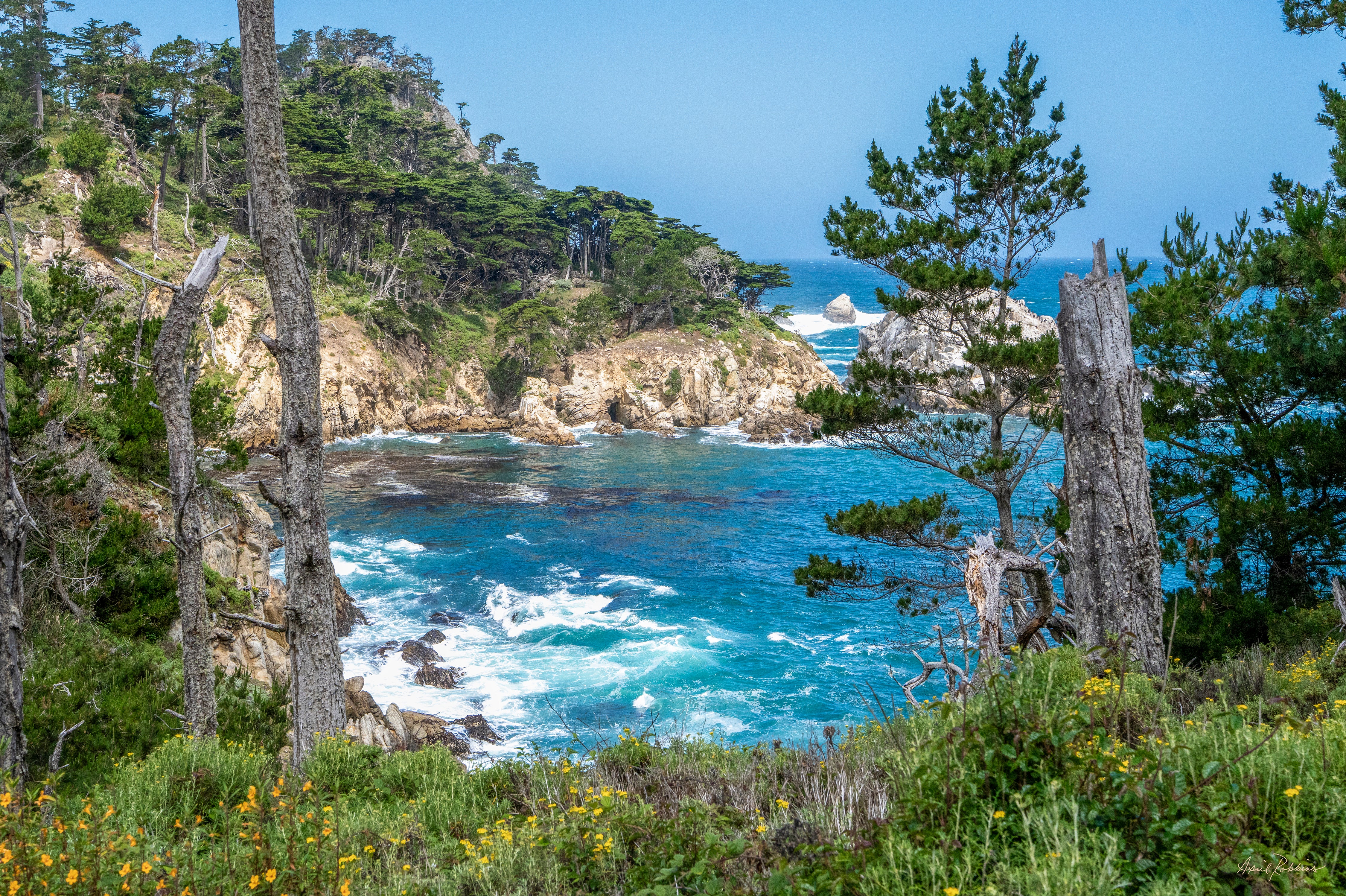 Hidden Cove