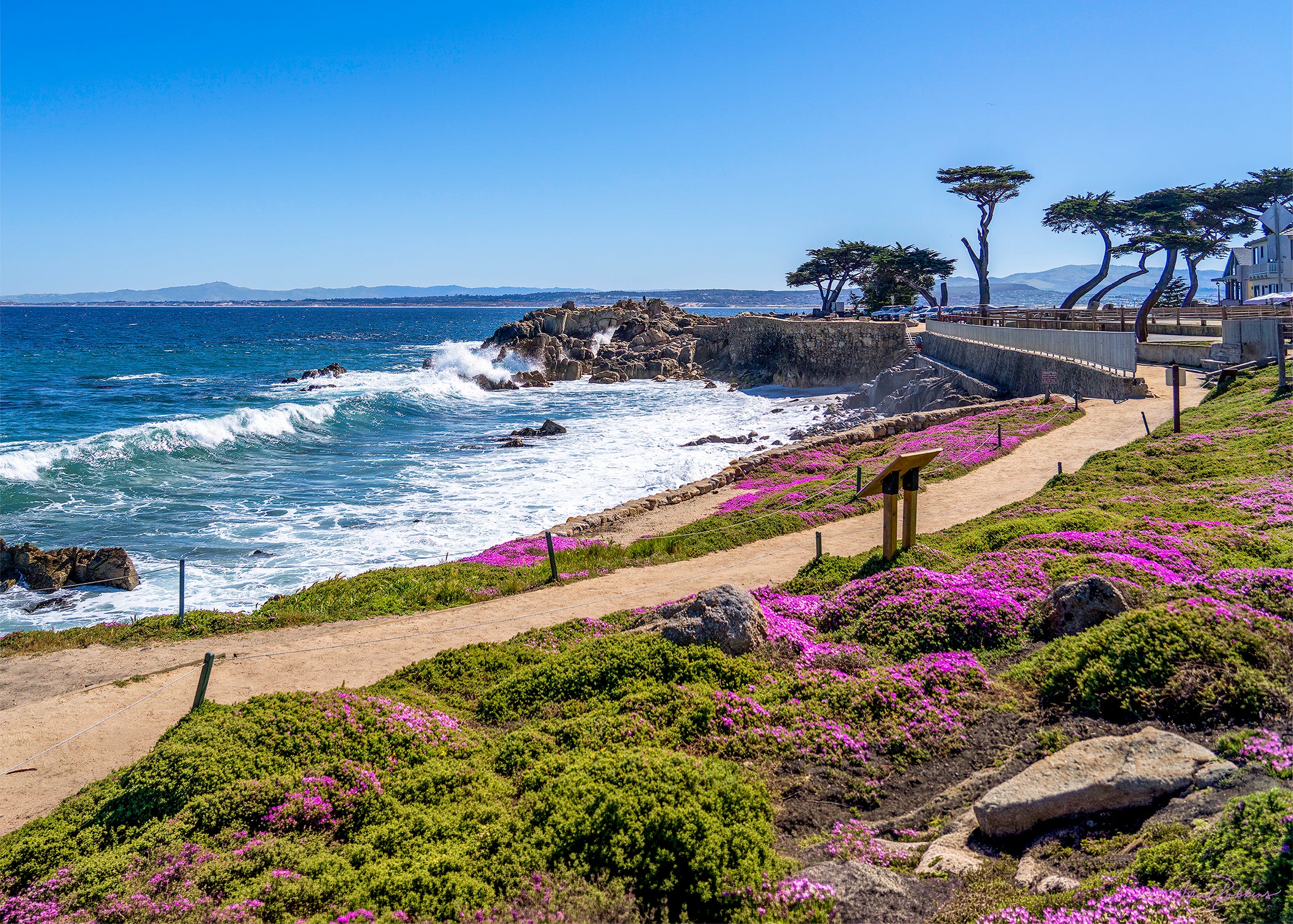 Lovers Point in Bloom