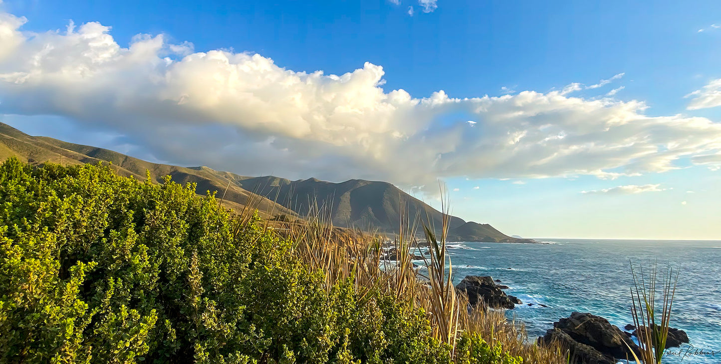 Big Sur Coast Photo - April Robbins Photography