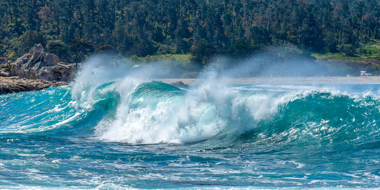 Blue Mist Photo - April Robbins Photography