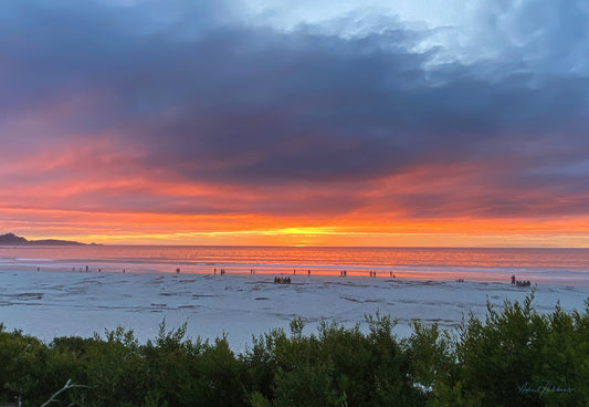 Carmel Peace Photo - April Robbins Photography