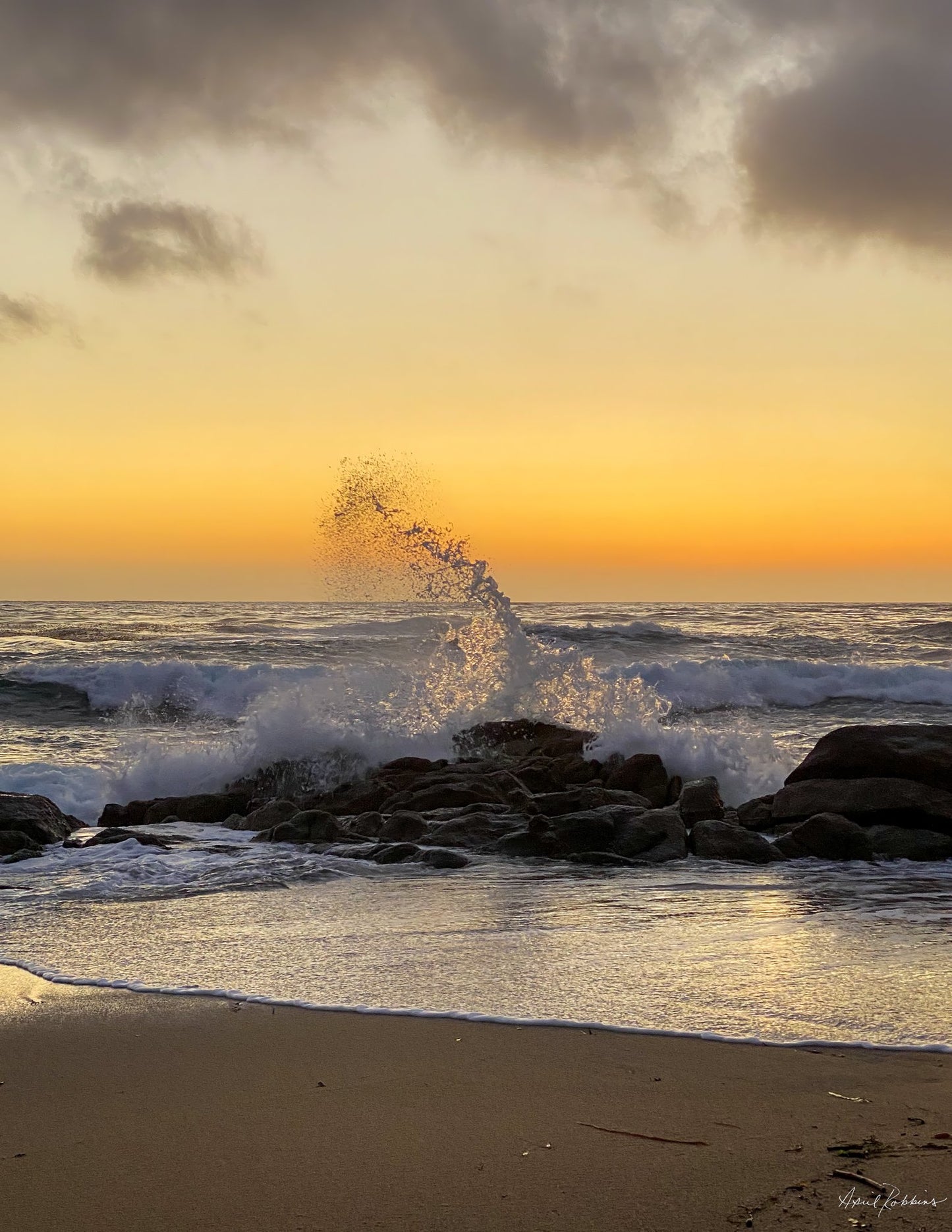 Evening Break Photo - April Robbins Photography