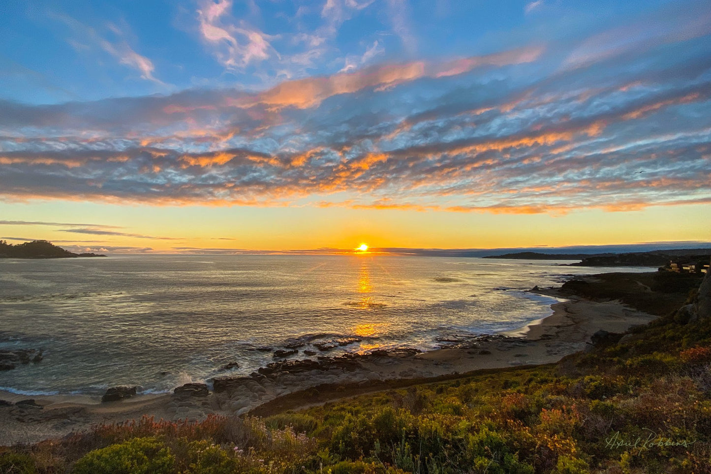 Fall Brilliance Photo - April Robbins Photography