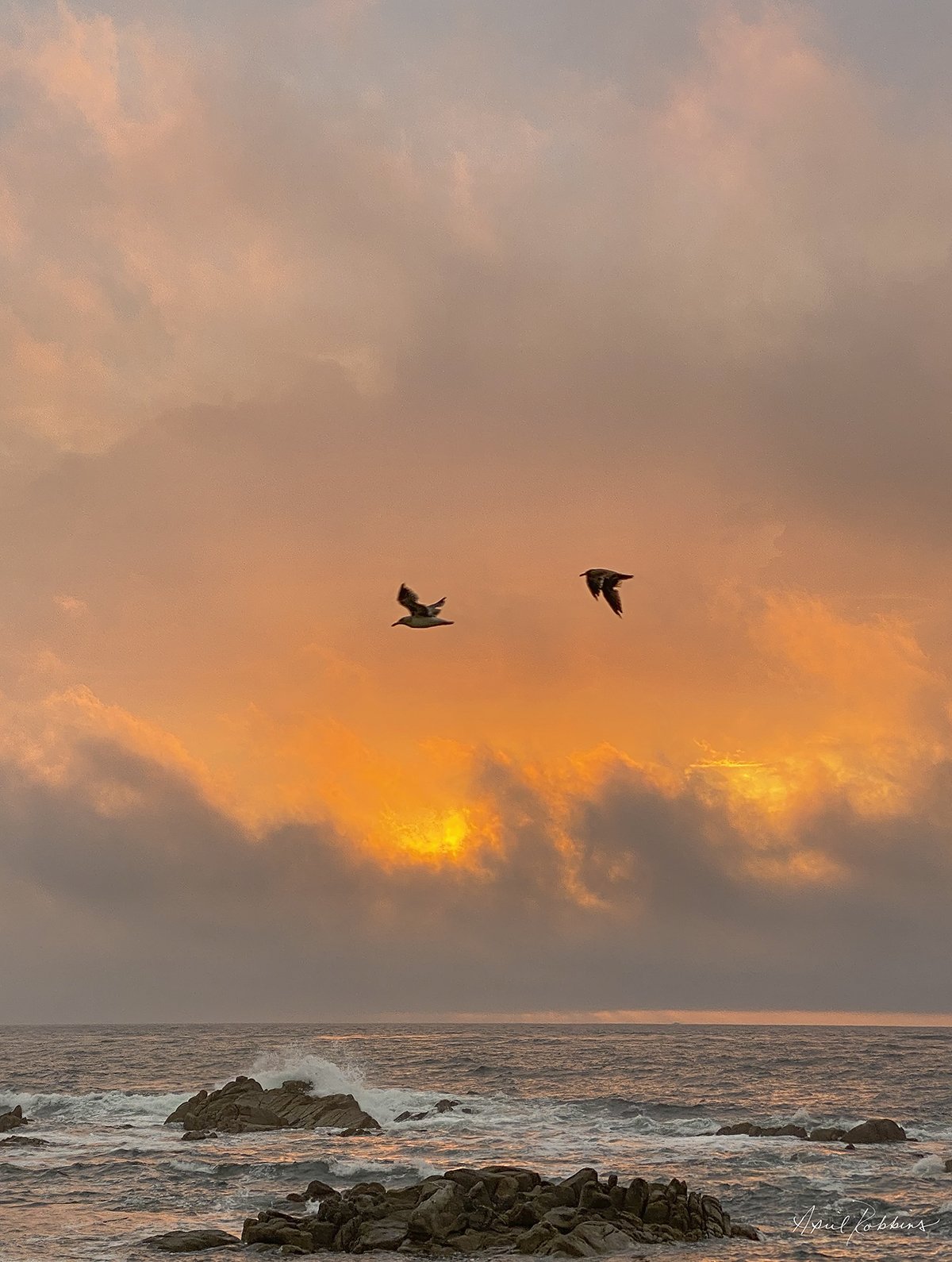 Fire Flight Photo - April Robbins Photography