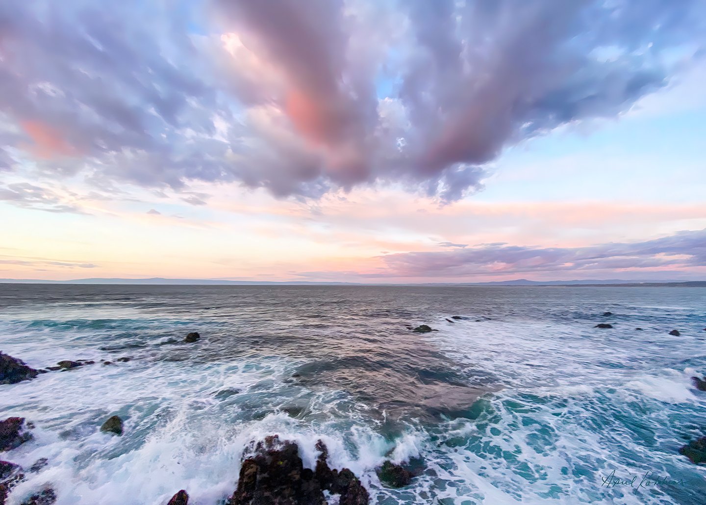 Pacific Grove Shore Photo - April Robbins Photography