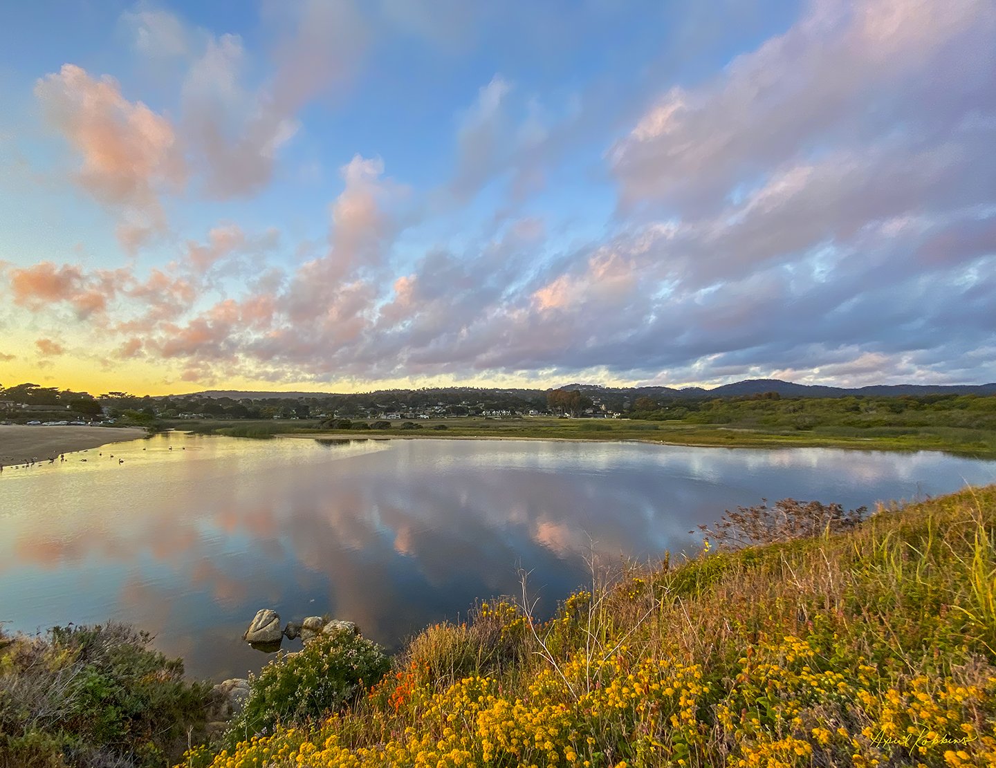 Reflections Photo - April Robbins Photography