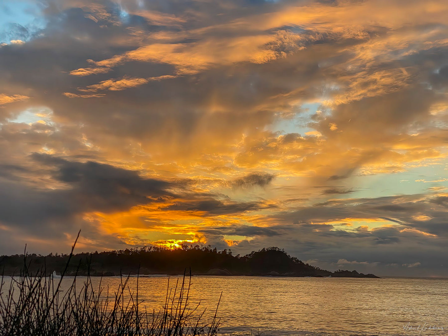 Ribera Sunburst Photo - April Robbins Photography