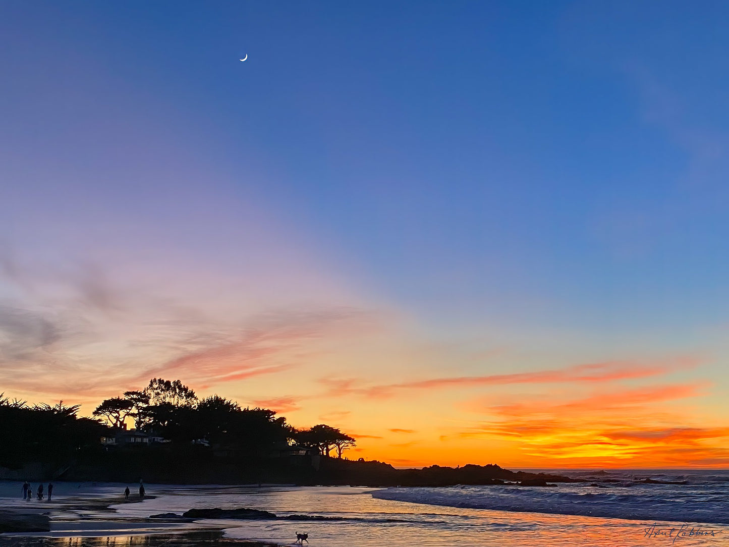 Romantic Carmel Photo - April Robbins Photography