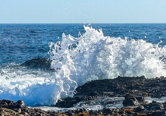 Sea Ribbons Photo - April Robbins Photography