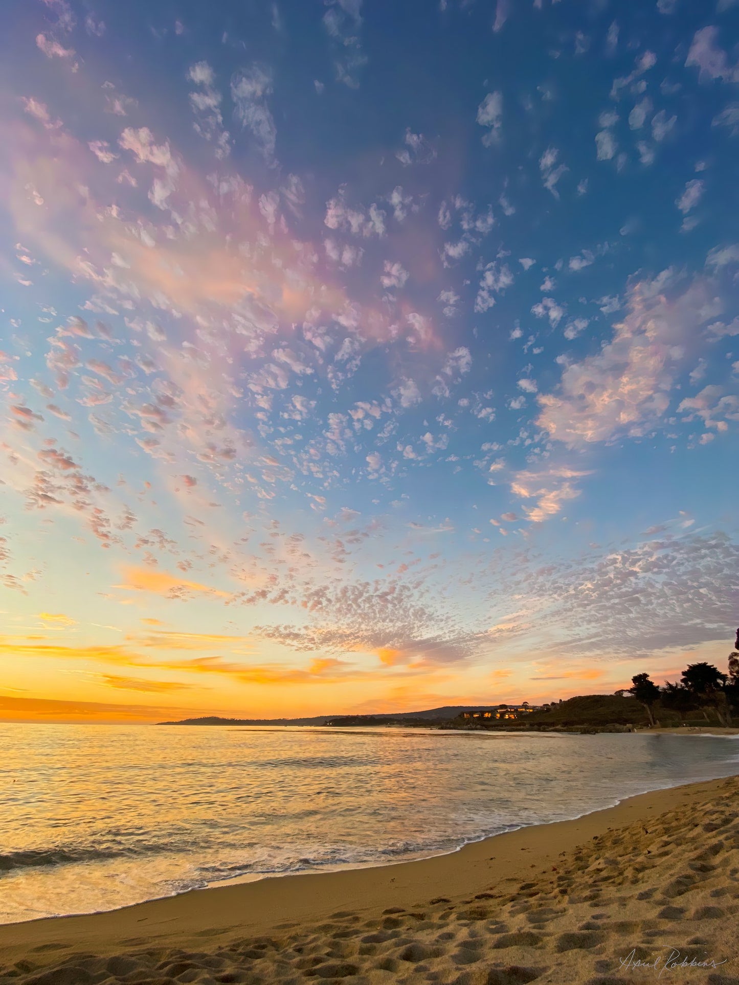 Spotted Skies Photo - April Robbins Photography