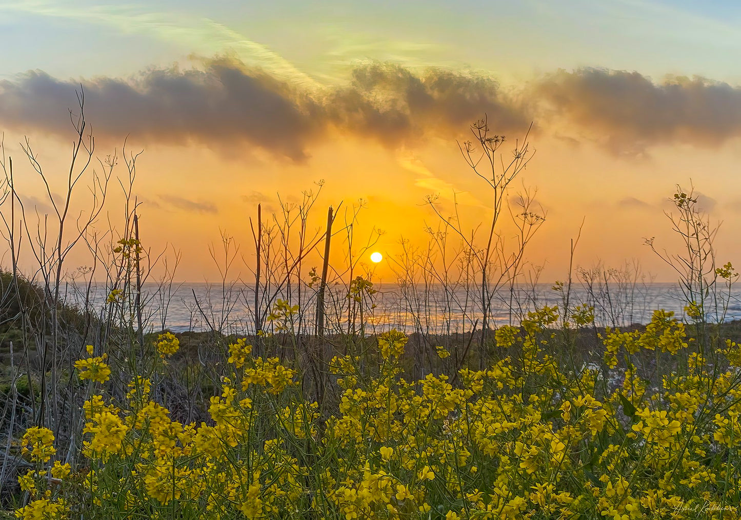 Yellow Vibes Photo - April Robbins Photography